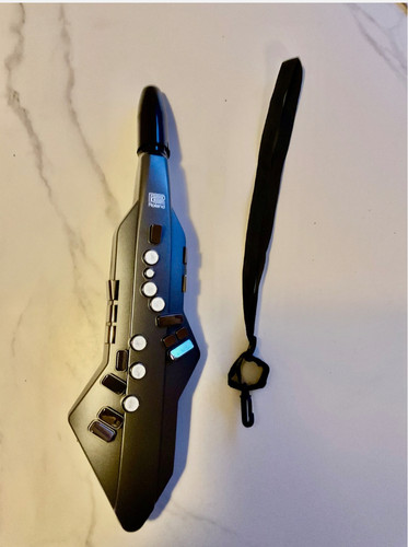 Roland aerophone 05 - go, ae-05