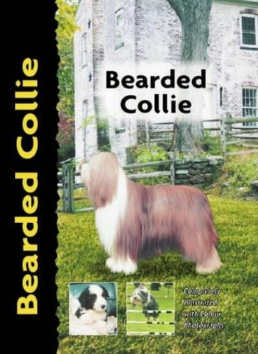 Bearded collie pet - bearded,