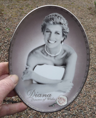 1998 princess diana oval plate - 1998,