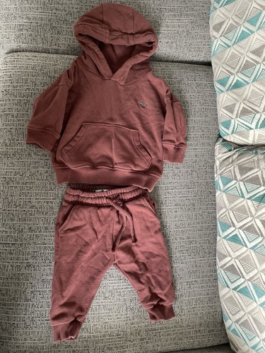 Baby boy burgundy dinosaur - baby,