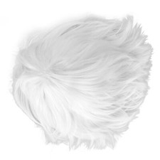 Men Short Wig Exquisite