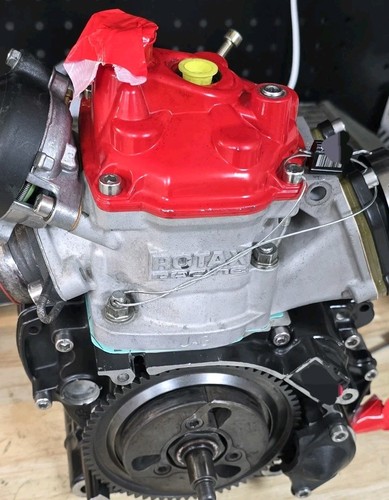 2025 spec senior rotax engine - senior,