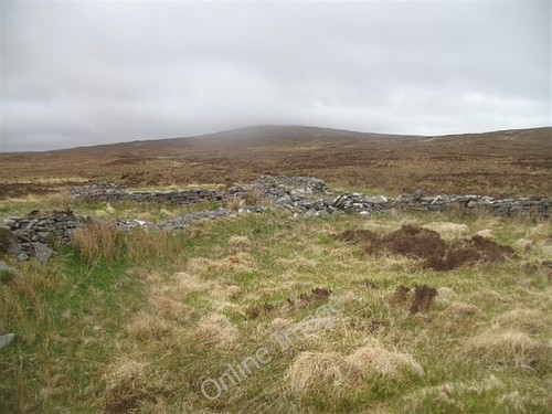 Photo 6x4 sheep - photo, allt