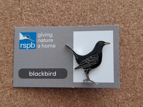 Rspb blackbird series gnah - 6,