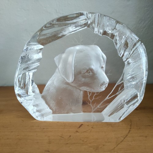 Dartington crystal capredoni - dartington,