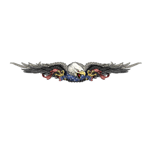 Sticker eagle usa 89x14cm - eagle,