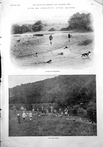 Antique print cheritons - print,