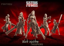 Raging Heroes Sisters of the