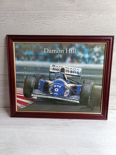 Damon hill driving the - hill,