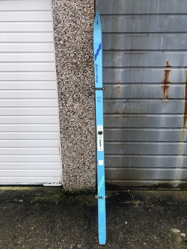 Asnes pair skii - pair, of