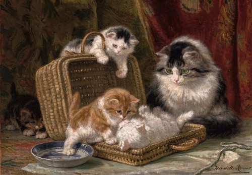 Henriette ronner knip - henriette, cat