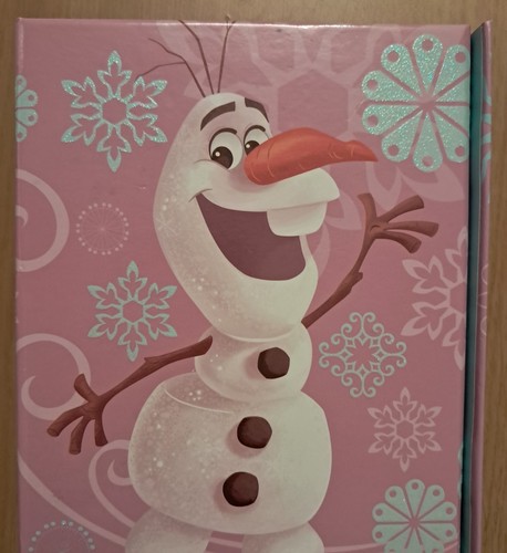 Disney frozen organiser note - organiser.,