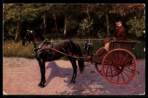 Single horse carriage with - single-horse,