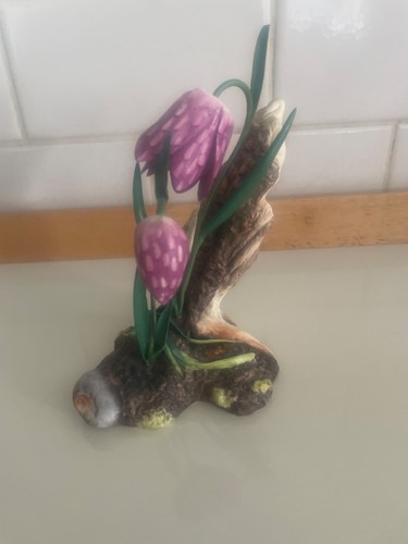 Beautiful boehm rare wild - rare,