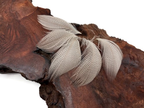 Natural barred - natural,