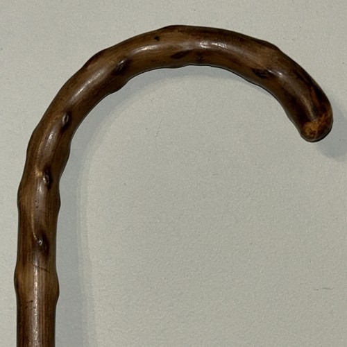 Walking stick unusual brussel - unusual,
