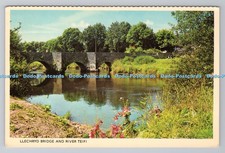 R791374 Llechryd Bridge and