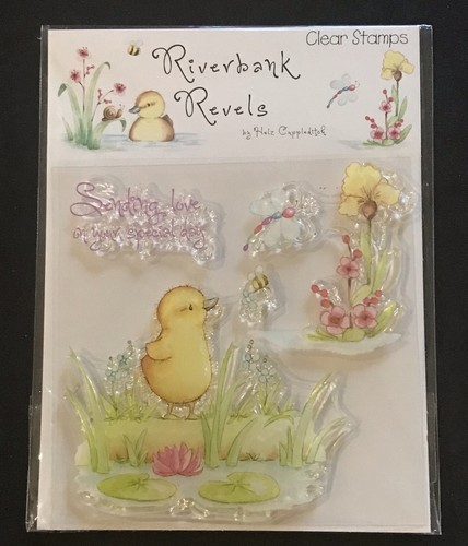 Duck duckling pond - , scene