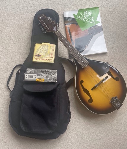 Johnson mandolin with - mandolin,