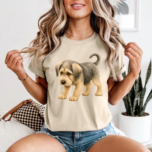 Border terrier puppy dog - border,