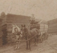 GALLUP SAW MILL, LUMBER YARD