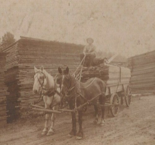 Gallup saw mill lumber - saw,
