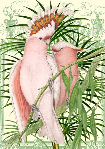 Pink parrots art blank - pink,