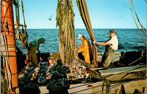 Commercial fishing boat - commercial, at