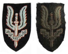 SAS Cap Badge 3d Pattern WW2