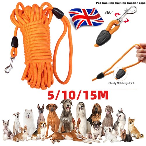 15m long dog training - dog,