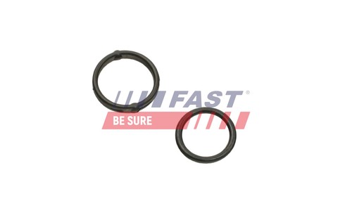 Gasket oil pump - oil,