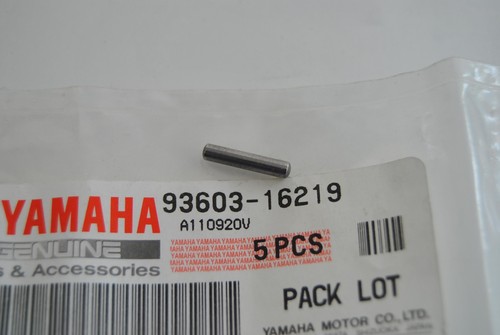 Oil pump dowel - dowel, pin