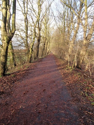 Photo looking towards - looking,