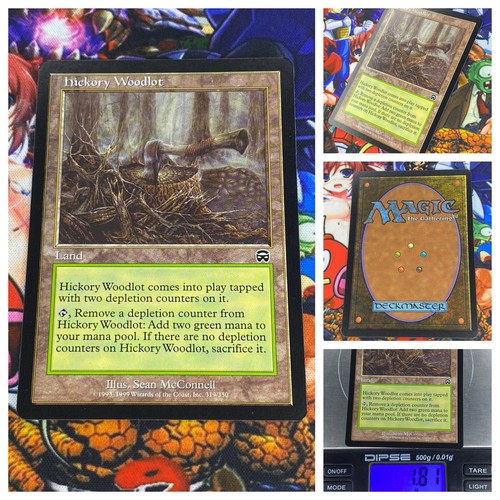Mtg hickory woodlot - mtg, 🇬🇧