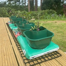 Grow bag watering pots - grow,