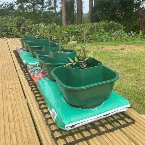 Grow bag watering - watering, pots
