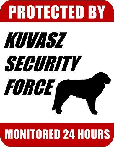 Protected kuvasz security - kuvasz,