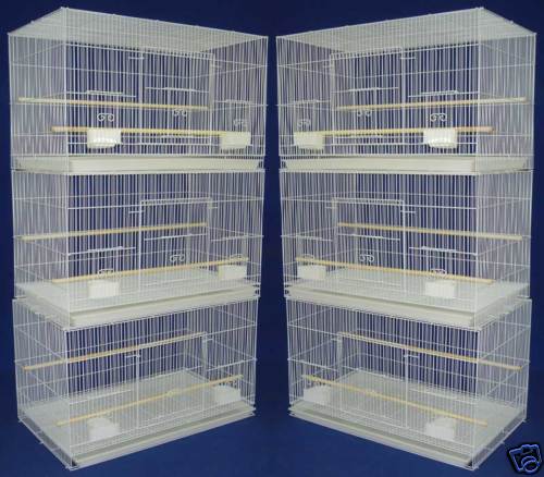 Lot aviary canary budgies - aviary,