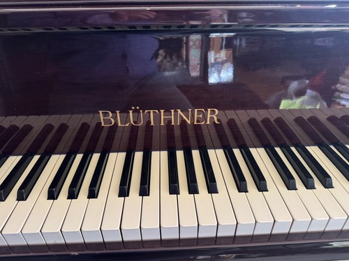 Blüthner grand piano - grand,