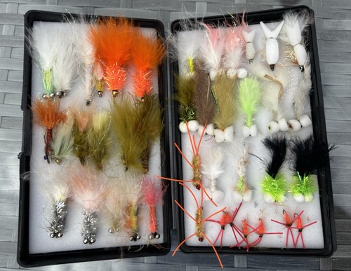 Fishing flies boxed trout - fishing,