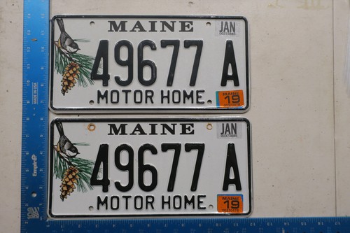 Maine license plate tag 2019 - maine,