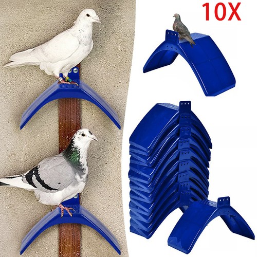 10pcs pigeon bird pet roost - 10pcs,