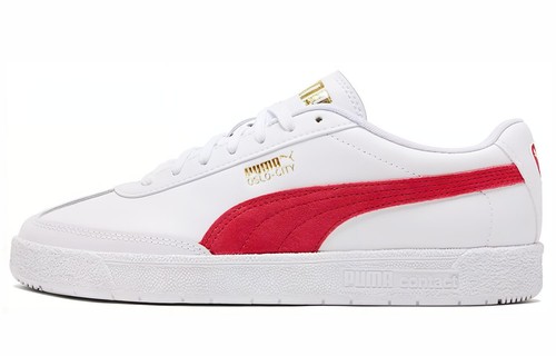 Puma oslo city - oslo,