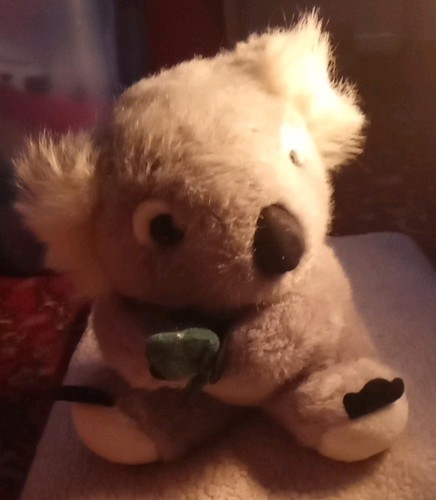 Vintage citer koala bear - koala,