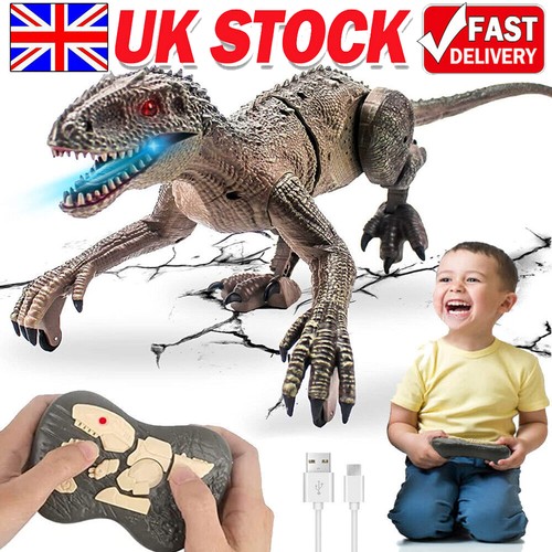 Remote control dinosaur - remote,