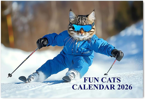 Funny cat calendar 2026 12 - cat,