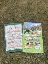 Vintage tea towel pig variety - vintage,
