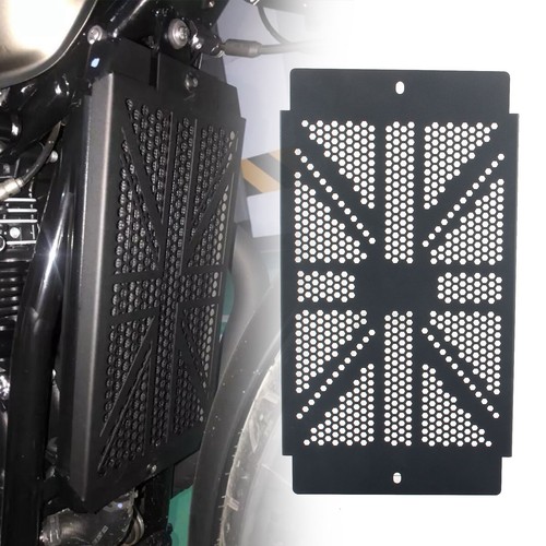 Front radiator grille guard - front,