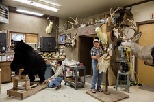 Sheridan Wyoming Greg Hartman
