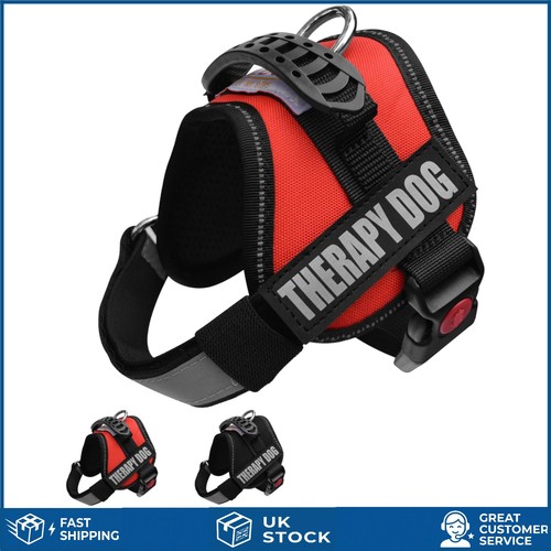 Reflective therapy dog vest - dog,